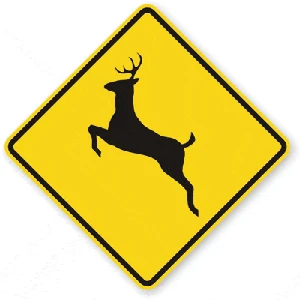 This sign means?